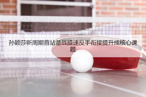 孙颖莎新周期首站备战提速反手衔接提升成核心课题