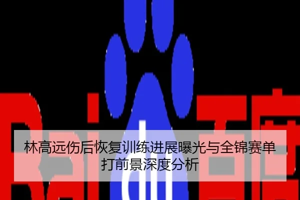 林高远伤后恢复训练进展曝光与全锦赛单打前景深度分析
